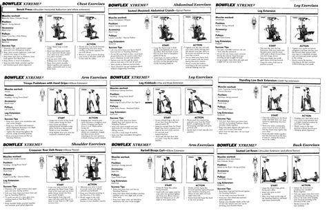 bowflex exercise chart free download